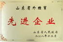 山东省外经贸先进企业